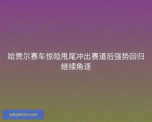 哈贾尔赛车惊险甩尾冲出赛道后强势回归继续角逐