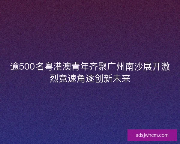 逾500名粤港澳青年齐聚广州南沙展开激烈竞速角逐创新未来
